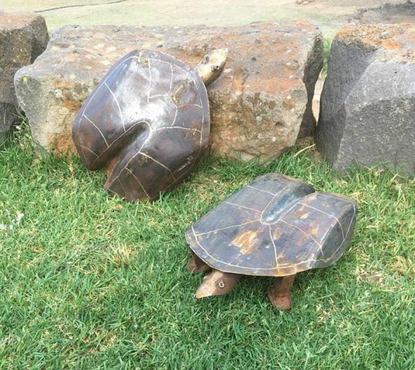 Tortoise garden ornaments